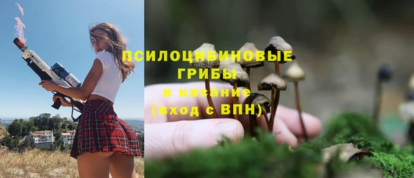 герыч Тихвин