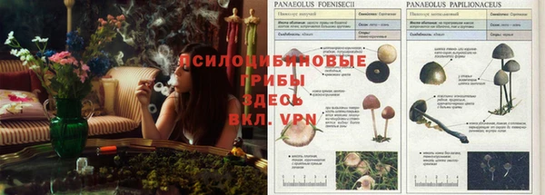 Альфа ПВП Тобольск