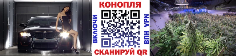 дарнет шоп  Ростов  Конопля сатива 